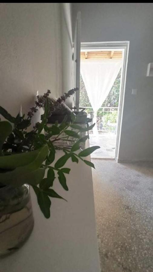 Αγρόκτημα Χελωναριά - Agroktima Chelonaria Hostel Chrani Luaran gambar