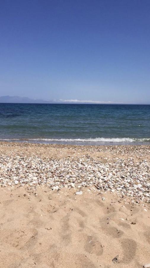 Αγρόκτημα Χελωναριά - Agroktima Chelonaria Hostel Chrani Luaran gambar