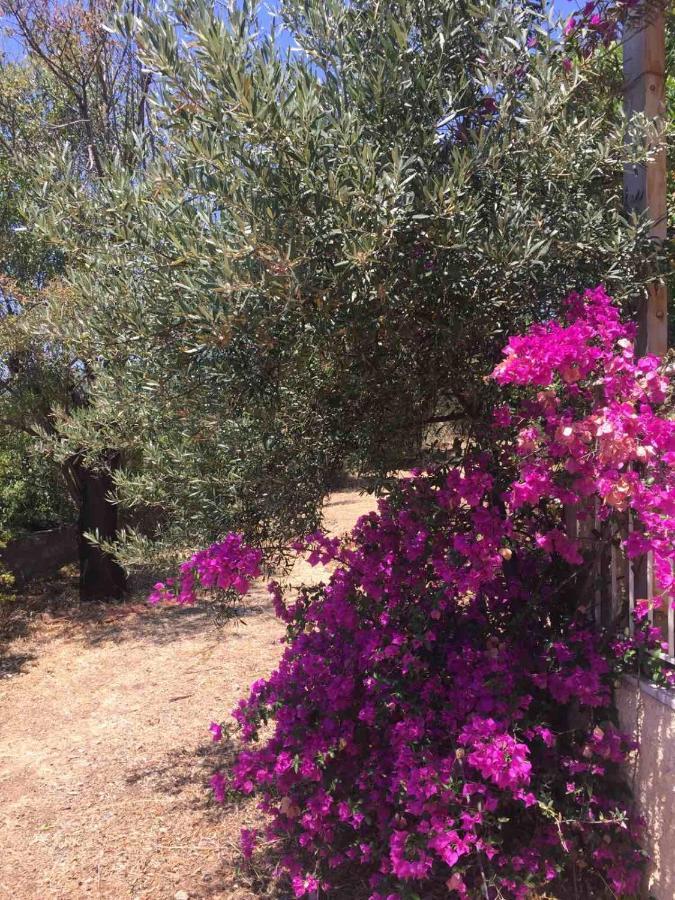 Αγρόκτημα Χελωναριά - Agroktima Chelonaria Hostel Chrani Luaran gambar