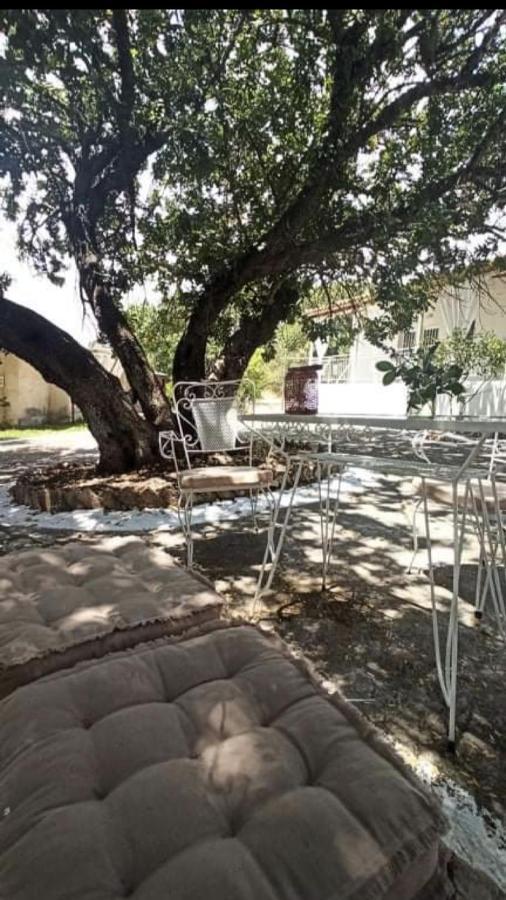 Αγρόκτημα Χελωναριά - Agroktima Chelonaria Hostel Chrani Luaran gambar