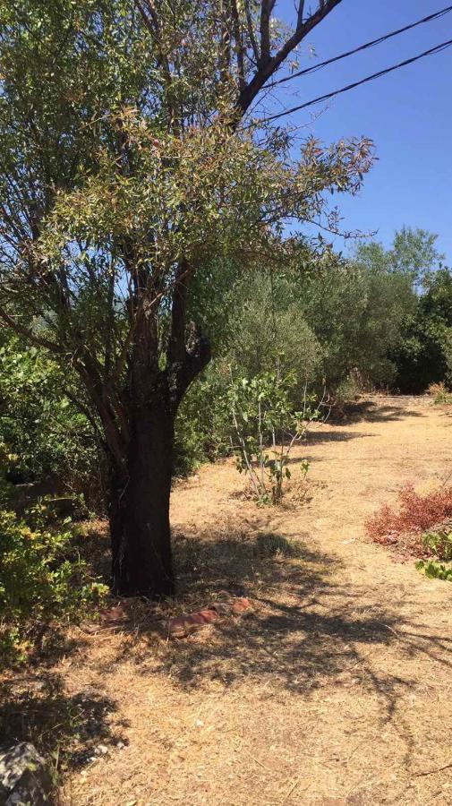 Αγρόκτημα Χελωναριά - Agroktima Chelonaria Hostel Chrani Luaran gambar
